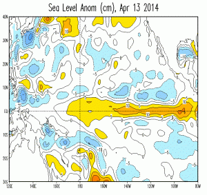 Sea level anomalies in the eastern equatorial Pacific Ocean are starting to look very El Niño-like. (NOAA/CPC)