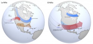 Cool-season impacts of El Niño (via NOAA).
