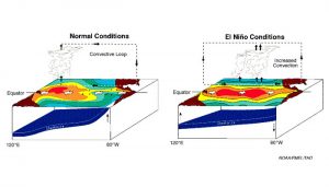 El Niño schematic from NOAA/PMEL.