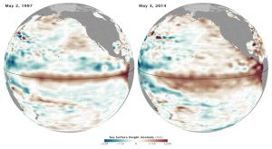 Present sea surface height anomalies are similar in magnitude to those in 1997, but with greater aerial extent. (NASA)
