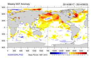 An unusual configuration of positive SST anomalies exists across the entire North Pacific Ocean. (NOAA/PSD/ESRL)