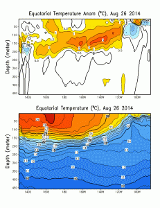 A new Kelvin wave is currently propagating eastward across the Pacific Ocean. (CPC/NOAA)