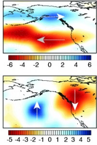 Top: zonal (west-to-east) wind anomalies at 250mb during 2013. Bottom: same as top, but for meridional (south-north) winds. Note that the westerly winds associated with the Pacific storm track are shifted well to the north. (Swain et al. 2014)