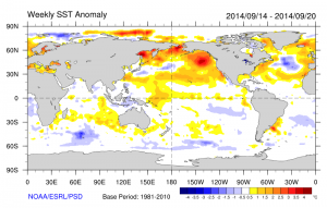 "The Blob" is clearly visible in this recent SST anomaly plot. (NCEP/PSD/ESRL)