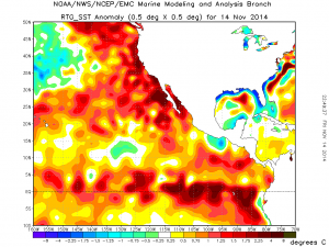 Large positive SST anomalies persist across nearly the entire northeastern Pacific Ocean. (NOAA)