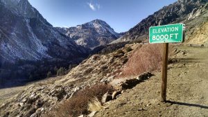 Photograph taken along Tioga Pass Road on January 12, 2015 illustrating the remarkable lack of snow in the High Sierra this winter. Photo courtesy of Bartshé Miller.