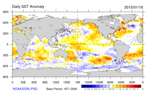 Tropical Eastern Pacific SST anomalies have all but disappeared in recent days. (NCEP via ESRL)