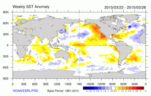 Pacific SSTs are extremely warm in the northeastern part of the basin and in the tropics near the dateline; recently, warm temperatures have started to develop in the eastern Tropical Pacific. (NCEP via ESRL)