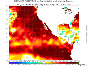 The entire northeastern Pacific is experiencing extraordinary, record-breaking warmth. (NOAA)