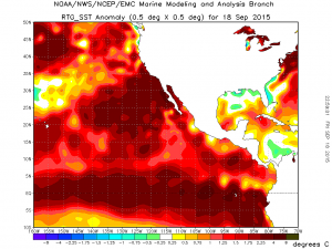 Extreme, record-breaking ocean warmth continues across the entire northeastern Pacific. (NOAA)