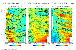 Recently bursts of westerly winds over the tropical Pacific all but guarantee further strengthening of SST anomalies. (CDAS)