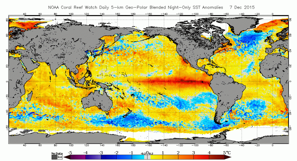El Nino continues to exhibit an extremely impressive, full-basin signature. (NOAA Coral Reef Watch)
