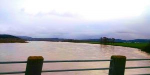 The Eel River near Ferndale approached flood stage earlier this week. Photo courtesy of Weather West reader "Alanstorm."
