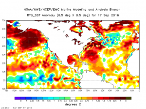 The warm "Blob" has returned to the North Pacific. (NCEP)