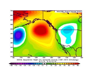 An anomalous ridge has returned to the North Pacific in recent weeks. (NCEP via ESRL plotter)