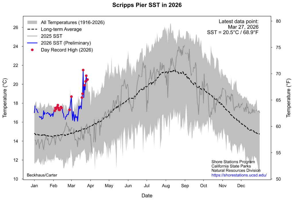 Time series plot of ocean surface temperatures at the Scripps Pier. Recent warm has been highly anomalous, and even record-shattering, during the historic March heatwave. Record-breaking ocean warmth continues at present. Plot via UCSD/Scripps/California State Parks.