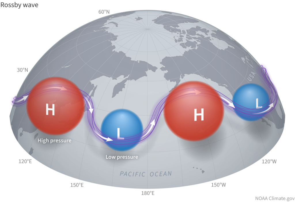 Schematic map diagram illustrating a classic atmospheric Rossby wave train over the Pacific Ocean. El Niño can, indirectly, excite an amplified wavetrain over the Pacific that results in an eastward-shifted Pacific jet stream and increased winter precipitation in California. (Image via NOAA climate.gov)