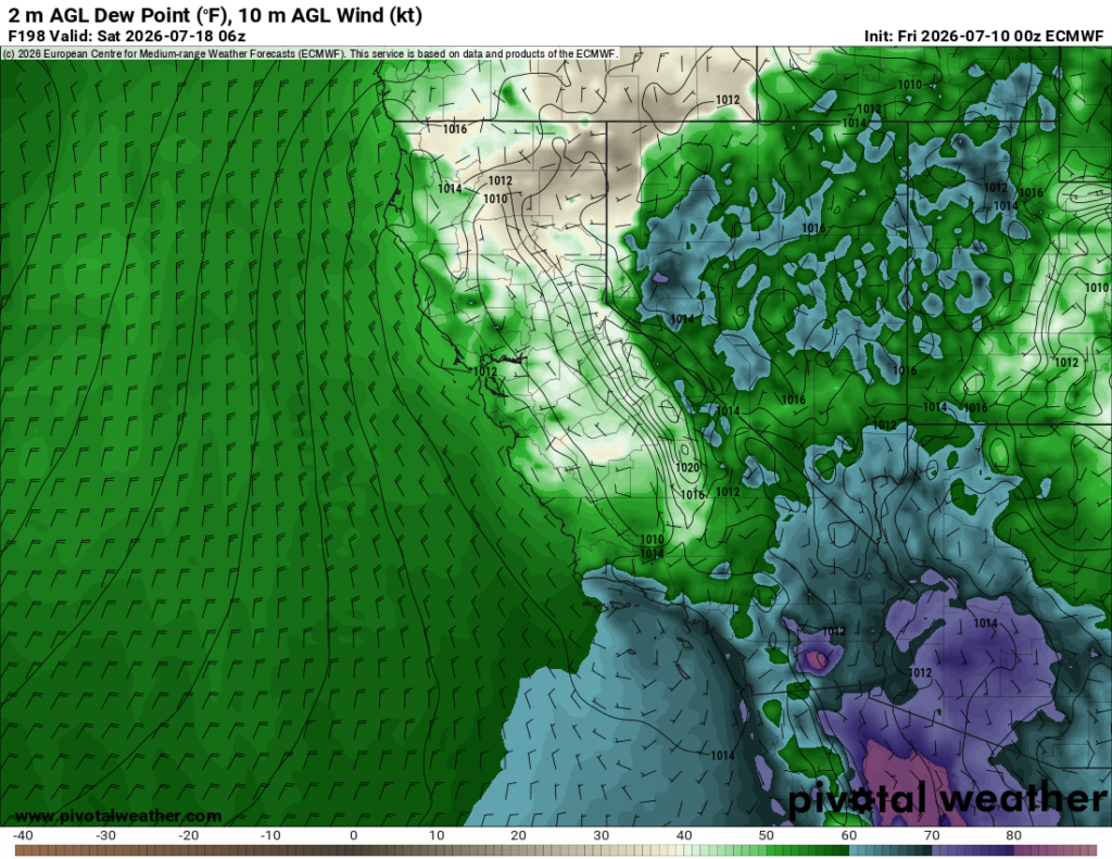 Map showing very high predicted (ECMWF) offshore and coastal humidity in ~8 days in Southern California and along the Central Coast. Dewpoints as high as 70F will make conditions feel "tropical-like," and uncomfortably muggy.