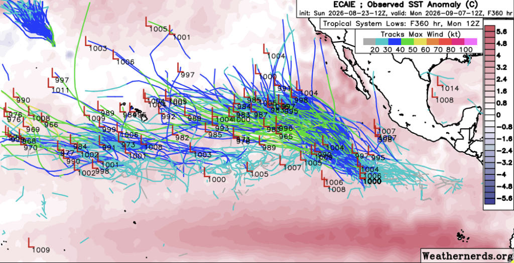 "Spaghetti" plot showing potential future tropical cyclone locations over the next 16 days. Tracks represent all potential TCs in the ECMWF AI Ensemble through the first week in September. An active East Pacific is expected during this period, with the highest track density between California and Hawaii (with most potential TCs missing both). However, in early Sep, several ensemble members to bring a weakening tropical storm directly toward the central or southern CA coast. (weathernerds.org)