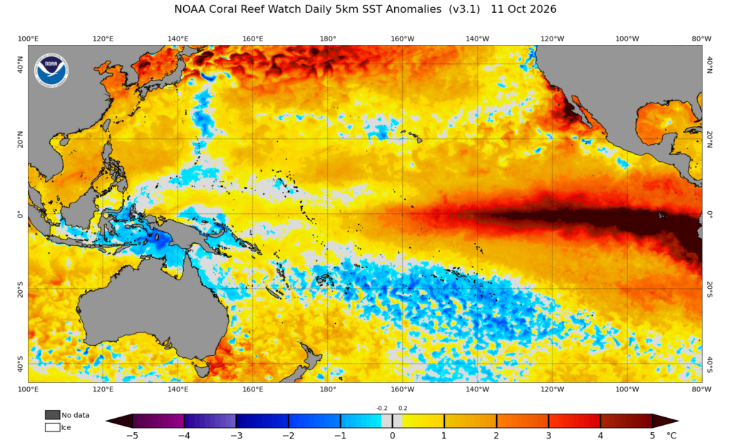 Map plot showing current (Oct 11, 2026) sea surface temperature (SST) anomalies across the Pacific Basin. Extreme and record-breaking warm anomalies (locally >5-6°C, or >10°F) are present across a vast extent of the tropical East Pacific and also the subtropical northeastern Pacific Ocean near southern California and along the western Baja California coastline. (NOAA Coral Reef Watch)